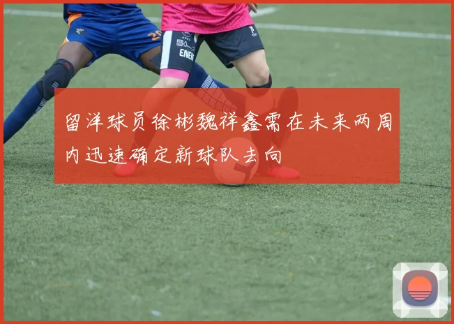 留洋球员徐彬魏祥鑫需在未来两周内迅速确定新球队去向